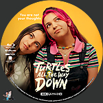 Turtles All the Way Down (2024)1500 x 1500UHD Disc Label by BajeeZa