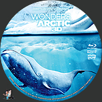 Wonders_of_the_Arctic_3D_BD_v1.jpg