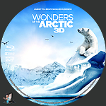 Wonders_of_the_Arctic_3D_BD_v2.jpg