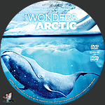 Wonders_of_the_Arctic_DVD_v1.jpg