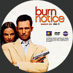 Burn_Notice_-_S6-D3.jpg
