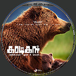 Bears_krttikll_DVD_Disc_Label_2015_RHE2.jpg