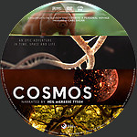 Cosmos_-_A_Space_Time_Odyssey_DVD_Disc_2014dec4.jpg