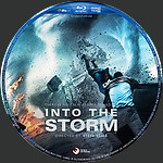 Into_the_Storm_Blu-ray_Disc_Label_2015_RHE1.jpg