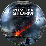 Into_the_Storm_DVD_Disc_Label_2015_RHE.jpg