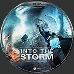 Into_the_Storm_DVD_Disc_Label_2015_RHE1.jpg