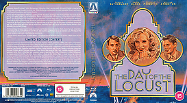 The Day of the Locust (1974)3173 x 173914mm Blu-ray Cover by sowhatwhocares