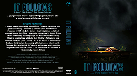 It_Follows_UHD__custom_.jpg