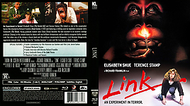 Link.jpg