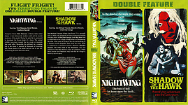 Nightwing___Shadow_of_the_Hawk.jpg
