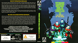 Teenage Mutant Ninja Turtles II: The Secret of the Ooze (1991)3173 x 173914mm UHD Cover by sowhatwhocares