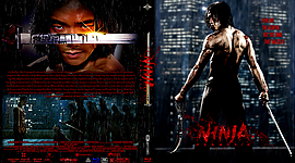 Ninja_Assassin__2009__4k.jpg