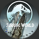 Custom_DVD_v1.jpg