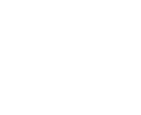 Phase_Alternating_Line_28PAL29.png