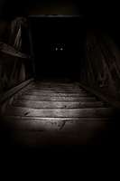 Filename=The_Boogeyman.jpg
Filesize=177KiB
Dimensions=2000x3000
Date added=Aug 29, 2023 The_Boogeyman.jpg