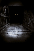 Filename=The_Boogeyman3.jpg
Filesize=219KiB
Dimensions=2000x3000
Date added=Aug 29, 2023 The_Boogeyman3.jpg