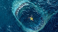 The_Meg8.jpg